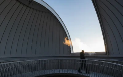 ANA SAYFA 21 360° Geri Bildirim ve Liderlik Değerlendirme Araçlarıyla Performans İyileşmesini İzleme Metodolojileri