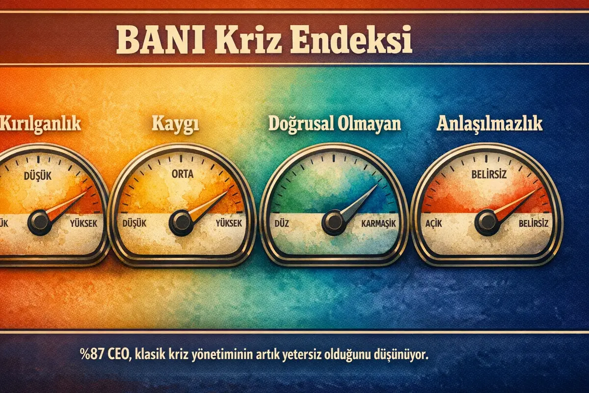 Kara Kuğu ve Global Krizlerde CEO Kriz Liderliği 2 kriz yapısının birçok boyutunu gösteren organizasyonel bir model