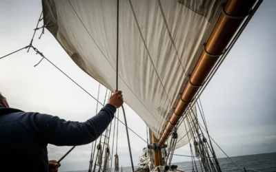 BLOG 34 Çevik ve Adaptif Liderlik Modelleri