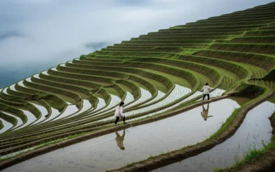 BLOG 15 Genel Müdür İçin Bütüncül Liderlik