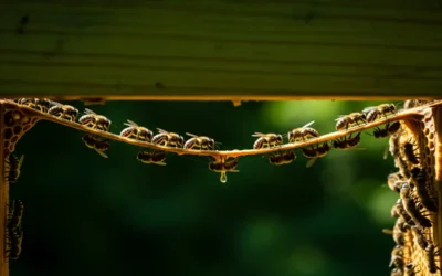 BLOG 20 Bölgesel Kriz Yönetiminde Genel Müdürlerin Liderlik Stratejileri