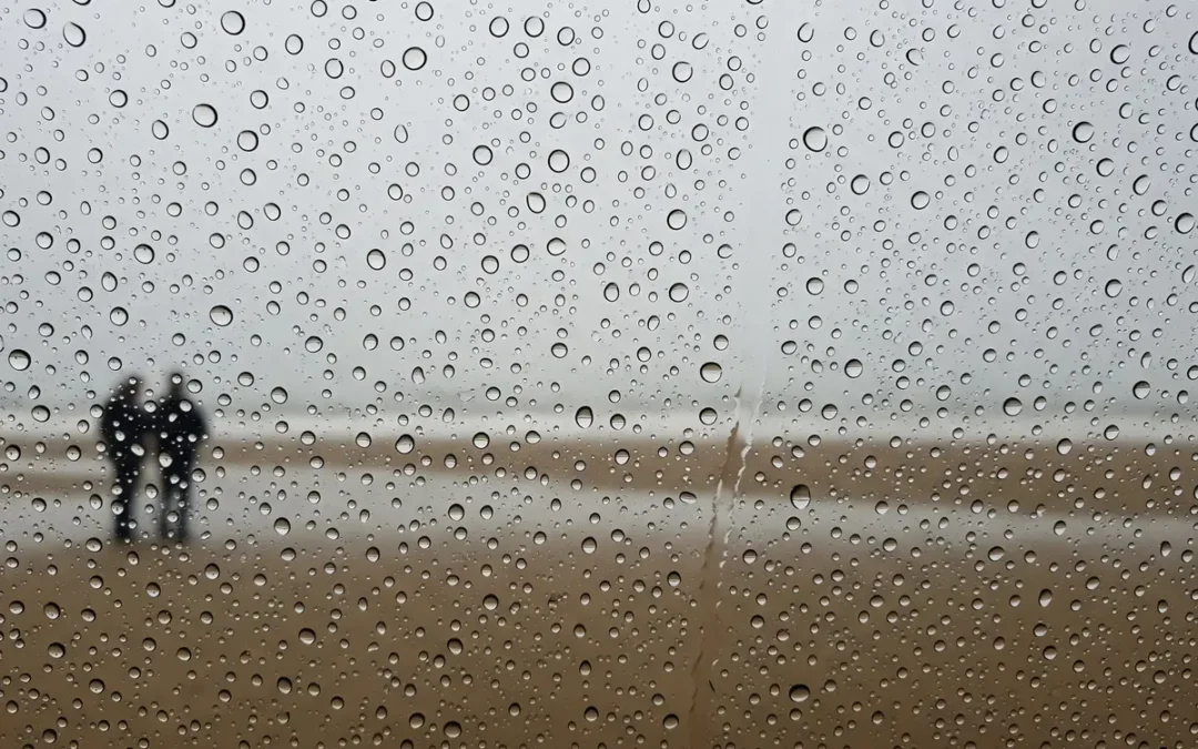 Integral Liderlik Gelişiminde Yol Haritaları ve Kariyer Evreleri