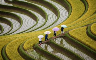 BLOG 11 Liderlikte Güven ve Bağ Kurmanın Önemi