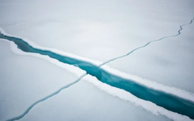 BLOG 24 Liderlik Programlarının Çalışan Bağlılığına Etkisini Ölçme Yöntemleri