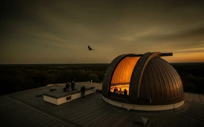 BLOG 18 Preparing Leadership for AI-Augmented Workforces