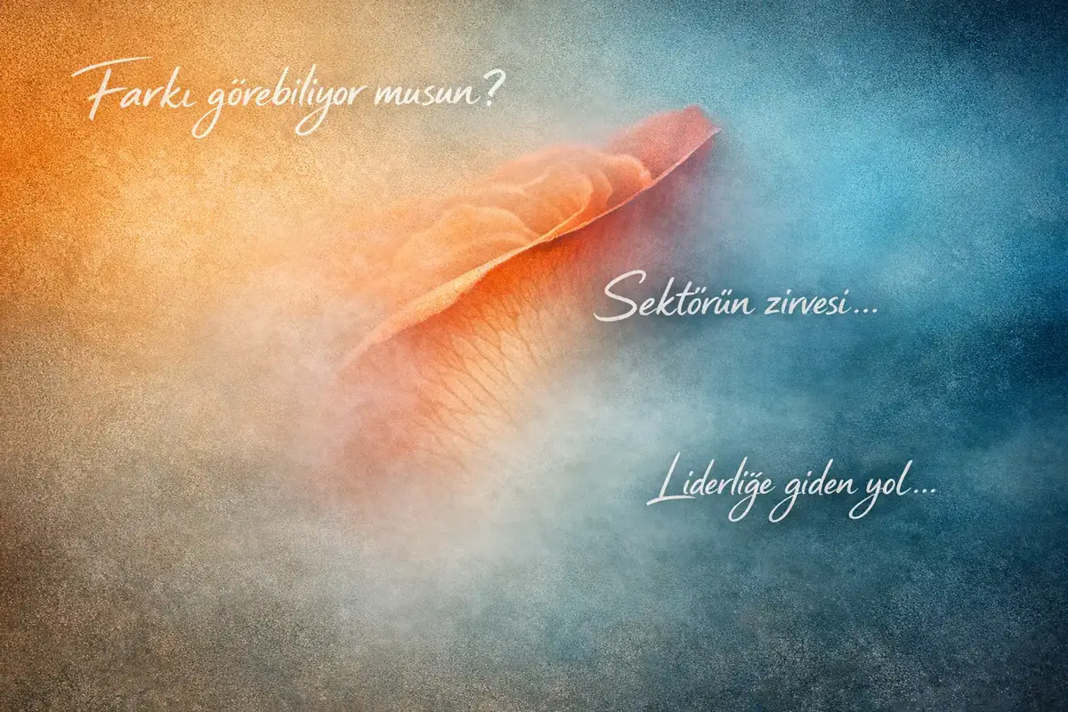 Sektörel Liderlik Gelişimi ve Kurumsal Çeviklik Etkileri 1 liderlik gelişimi kas haritası sektörel örneği