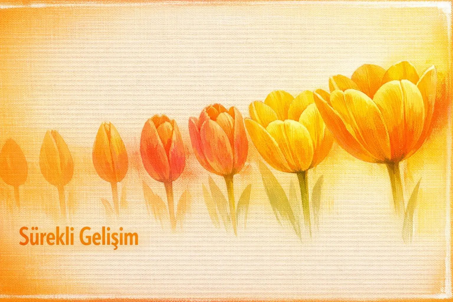 360° Geri Bildirim ve Liderlik Değerlendirme Araçlarıyla Performans İyileşmesini İzleme Metodolojileri 3 Ekibin performans geri bildirimlerini ve liderlik gelişim sonuçlarını görsel olarak izleyen lider ve takım üyeleri.