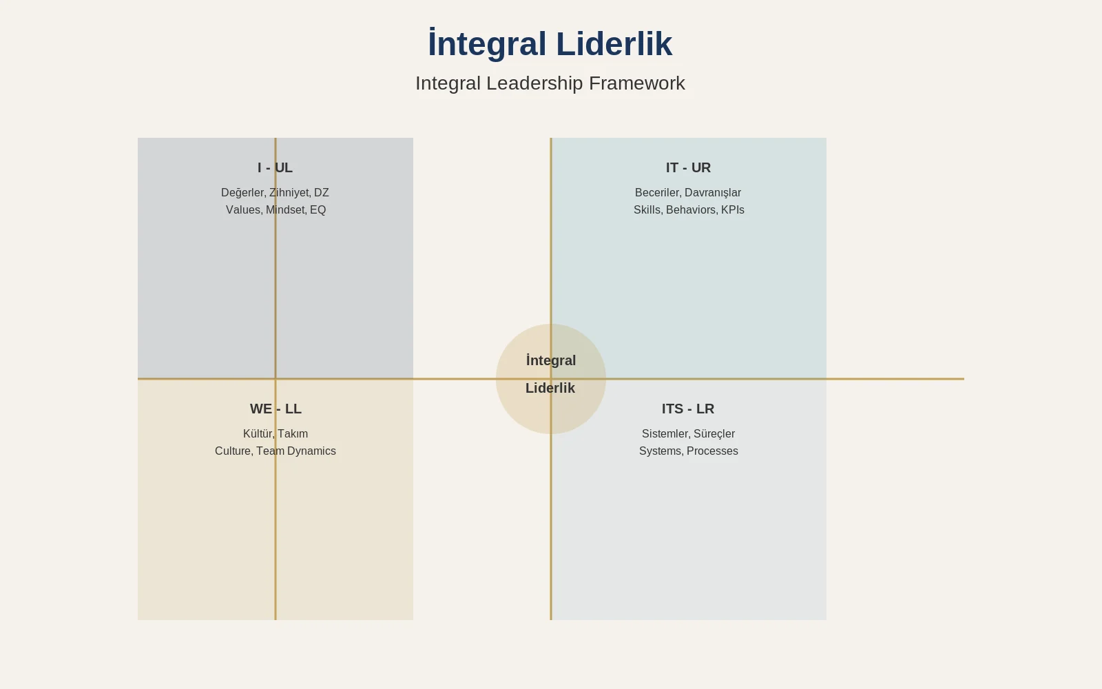 The AQAL Model Explained: Ken Wilber's Integral Framework for Coaching and Leadership 8 AQAL in Business Context