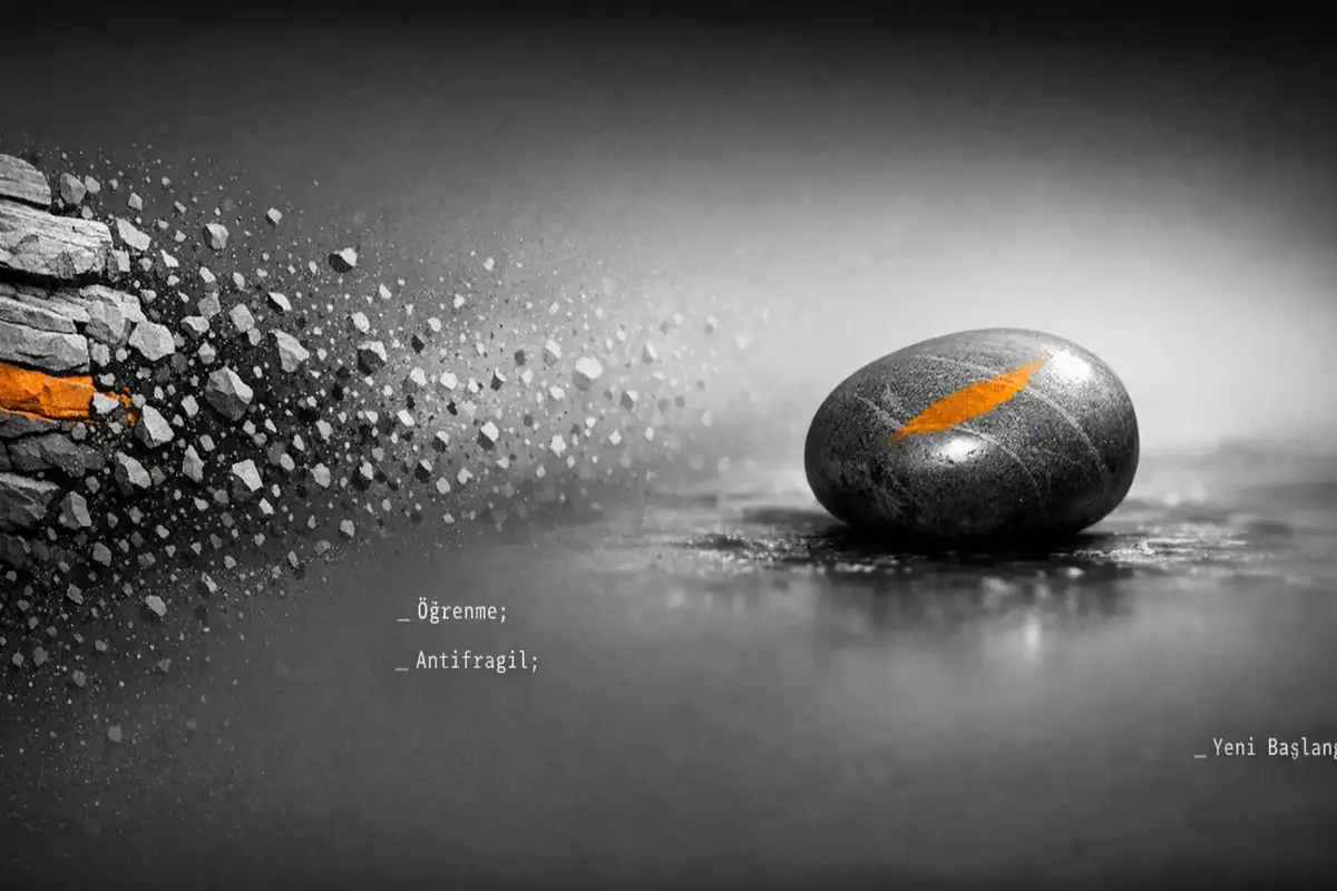 Kara Kuğu Olayları ve CEO'nun Kriz Liderliği 6 Kriz sonrası organizasyonel öğrenme ve dayanıklılık döngüsü