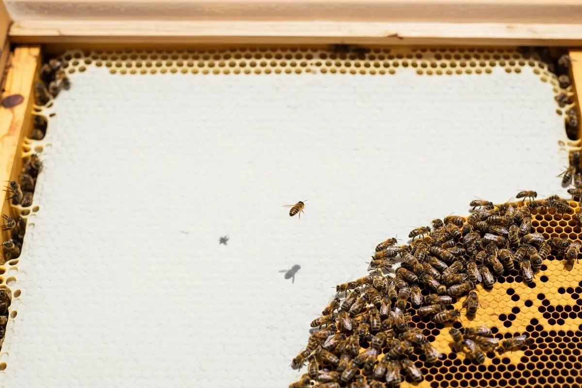 integral-liderlik-etik-sorumluluk-featured-1