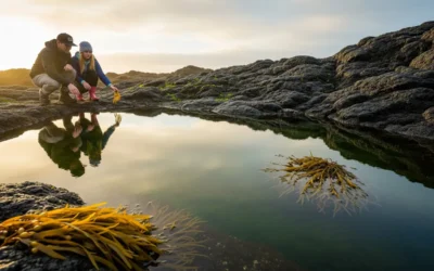 BLOG 31 Liderlik Duruşu ve Beden Diliyle Otantik İfade