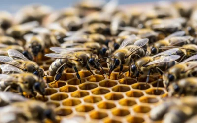 BLOG 15 Nörolojik Haritalama ile Liderlik ve Karar Verme Nedir