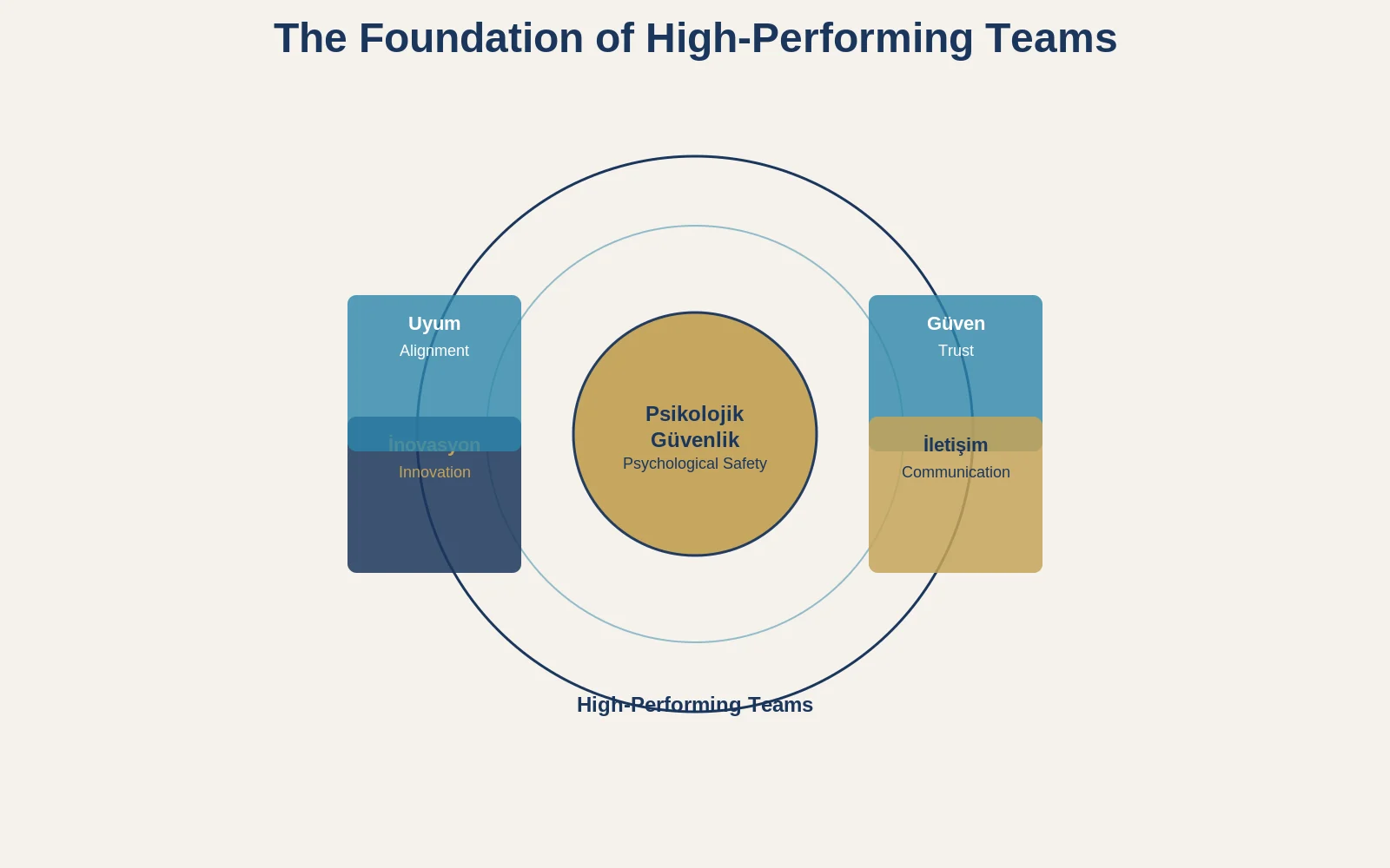 Integral Team Coaching: Building High-Performance Teams Through Holistic Development 9 Psychological Safety Framework