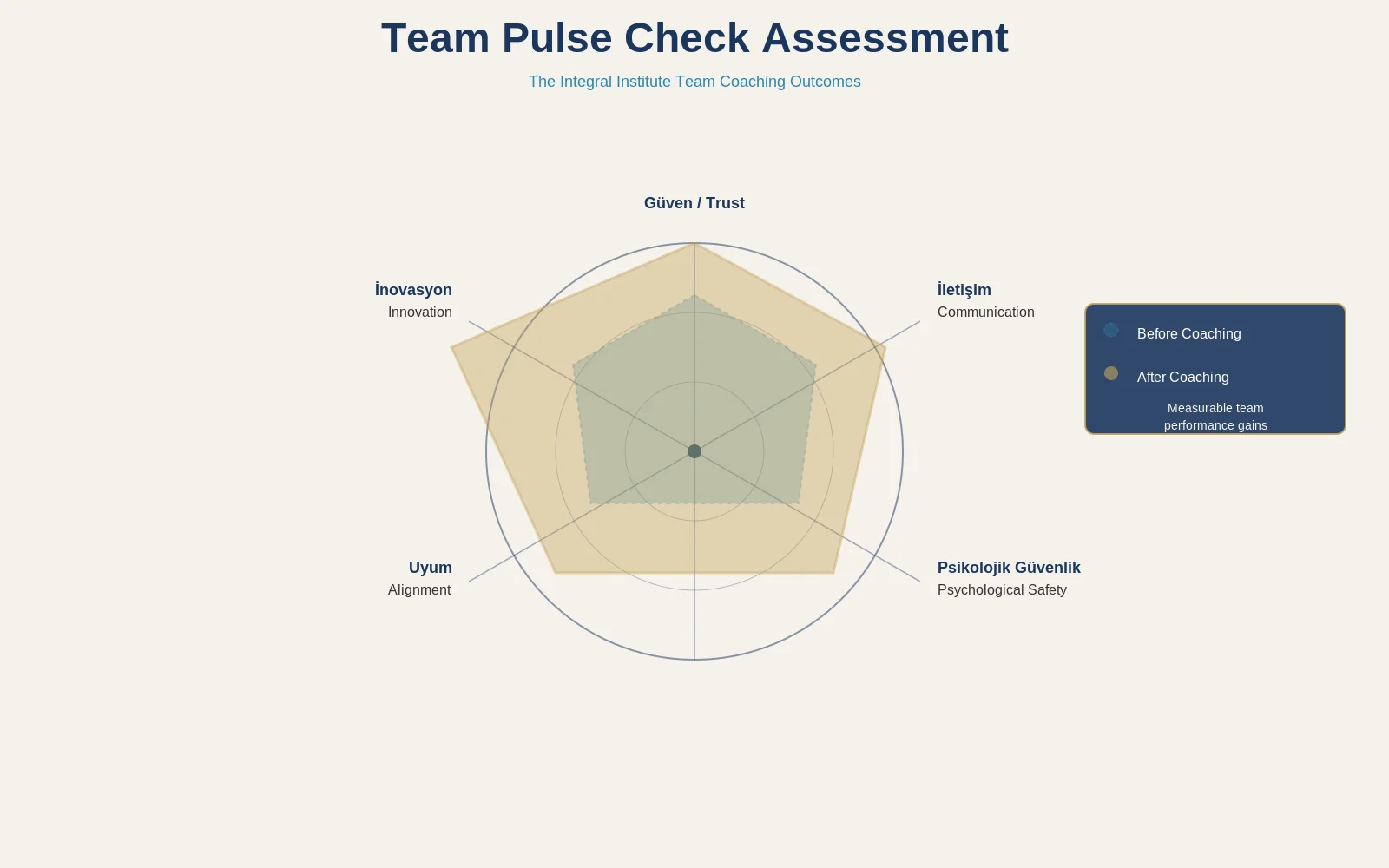 Integral Team Coaching: Building High-Performance Teams Through Holistic Development 10 Team Assessment Radar