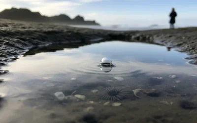 Understanding Organizational Culture with AI and Integral Lens