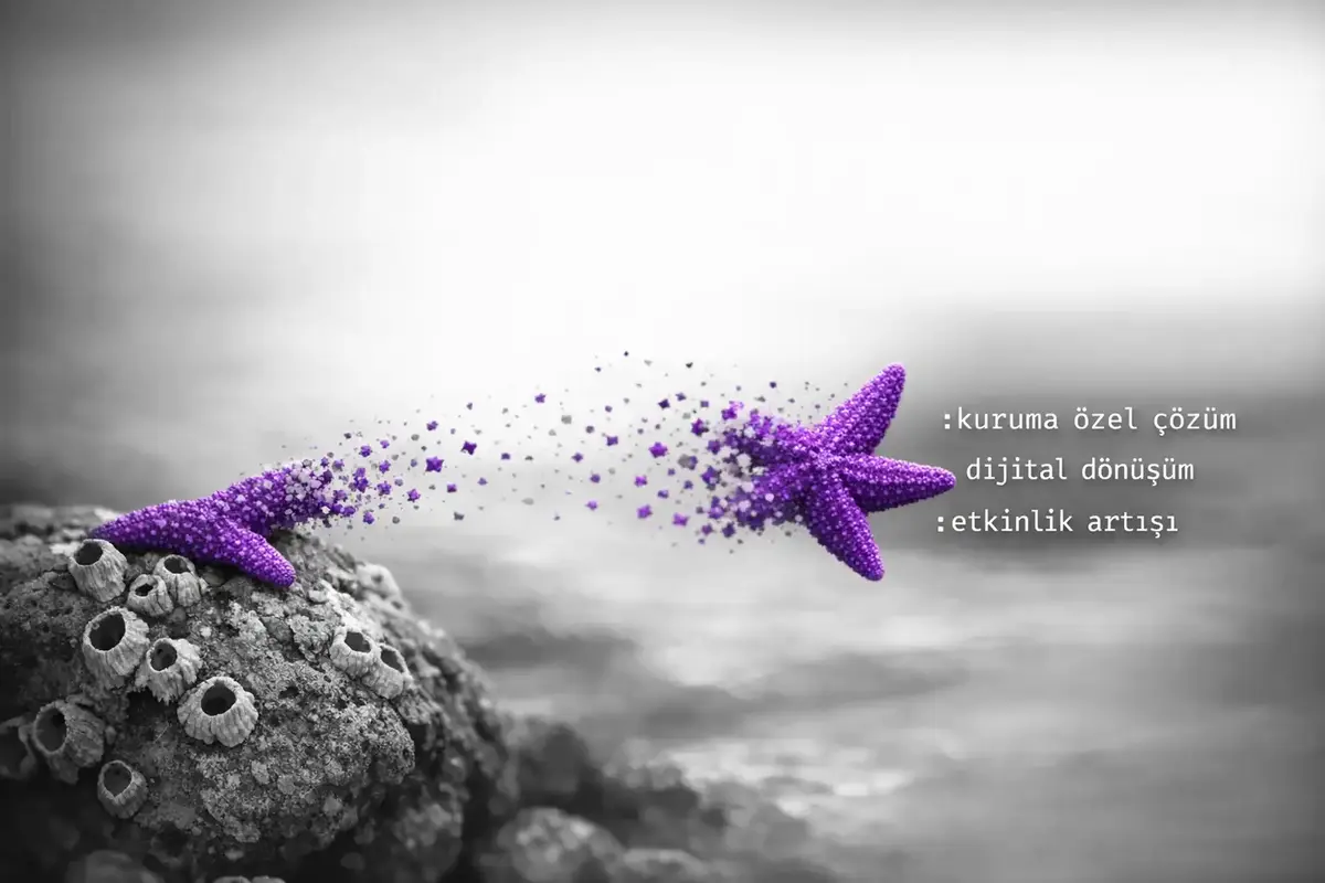 Değerlendirme Programı Tasarımı ve Özelleştirme Stratejileri 6 Image 3