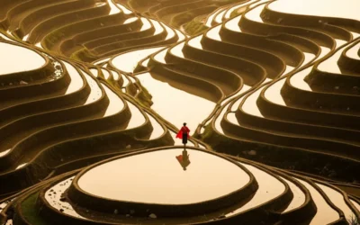 Mindfulness & Stress Management for Leaders & Teams